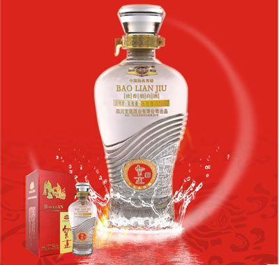 ʮ�������